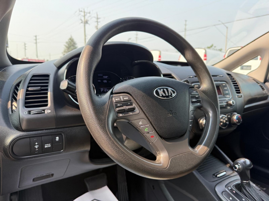 2015 Kia Forte - photo 18