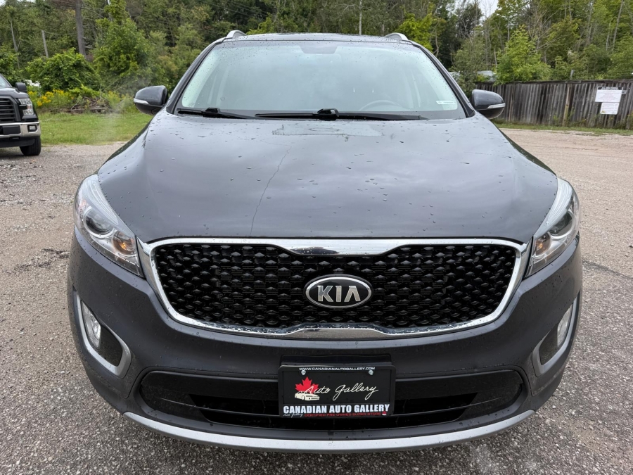 2016 Kia Sorento - photo 10