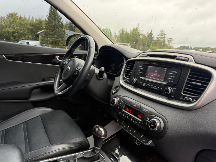2016 Kia Sorento - photo 14